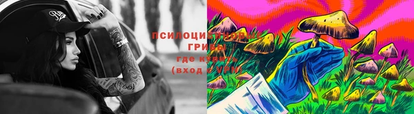 Альфа ПВП Беломорск