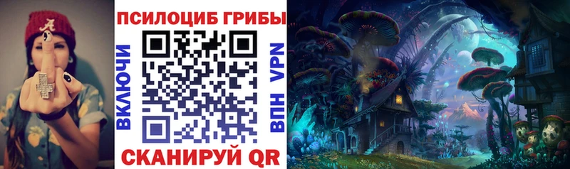 KRAKEN вход  Курганинск  Псилоцибиновые грибы MAGIC MUSHROOMS 